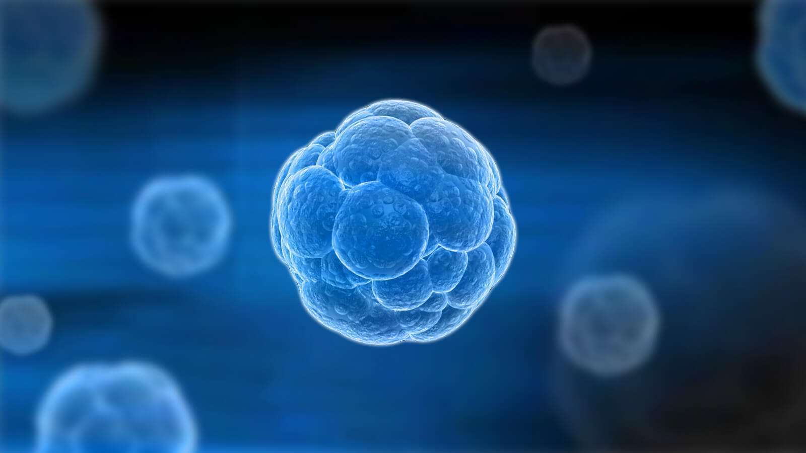 温度|感冒和着凉没有关系,感冒只和病毒有关系,与温度没有关系