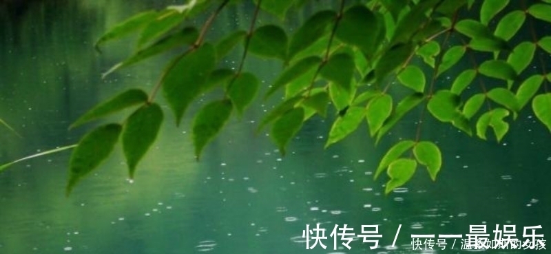 小雨|杨万里的这首《小雨》,也是一首千古名篇,整首诗充满了诗情画意