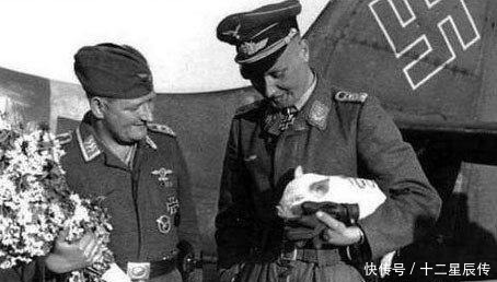 二战|二战士兵搞笑照在飞机螺旋桨上睡觉,让狗装成士兵站岗