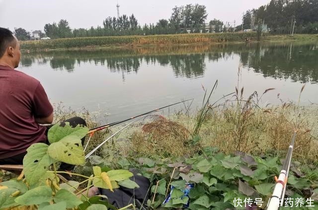 野钓碰到甲鱼、黑鱼别着急，手竿照样盘它！