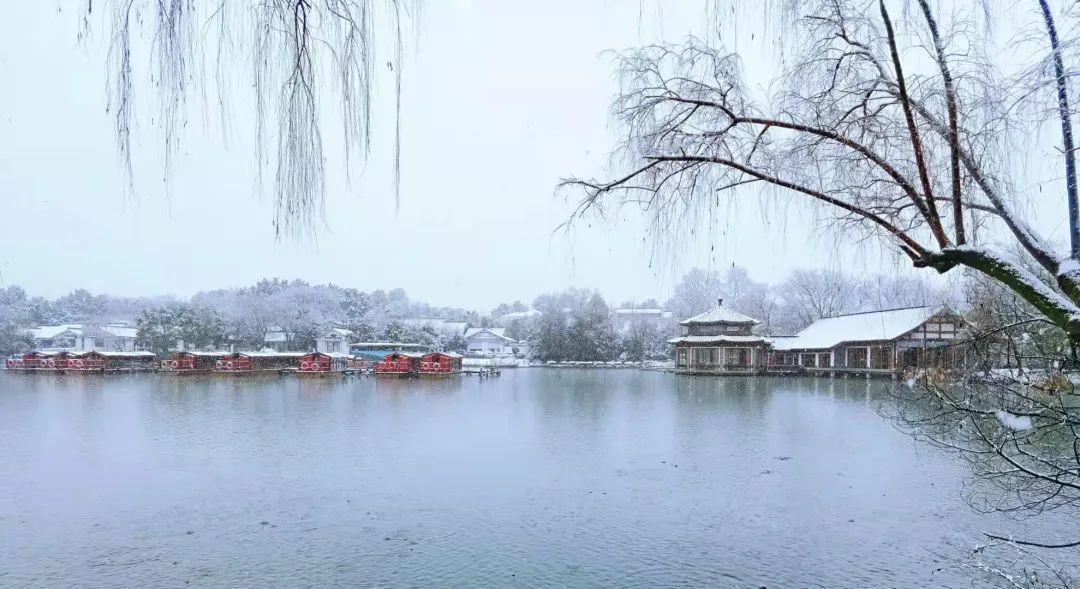 雨雪|此刻的杭州，太美了吧！