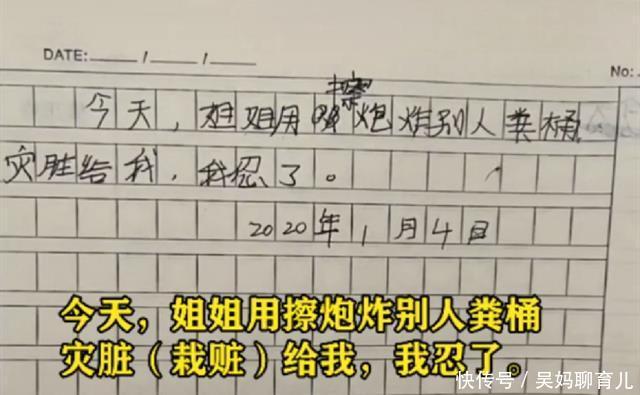 弟弟的“记仇本”火了！里面是关于姐姐的“坏话”，让人啼笑皆非