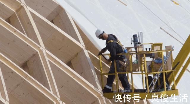 建筑|全球最大木构装配式建筑建成超低能耗的木构建筑或成未来趋势