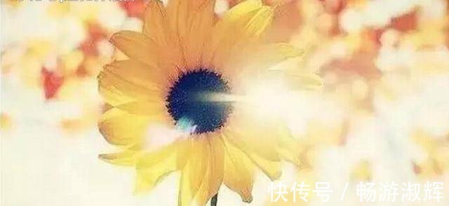 经典&佛家六大经典禅语,体悟智慧与慈悲!