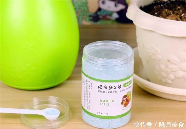 养花技巧:长寿开花不过瘾,学会1招,让它爆开1000朵