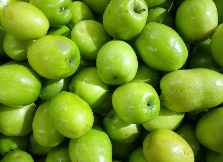 牛奶枣|人秋后,不妨多食此野果,每天几颗,美容养颜,润泽肌肤,抗衰老