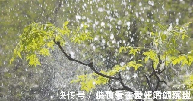 少年时代#蒋捷的这首听雨词,可谓是惊艳了时光,情景交融,无人能出其右!