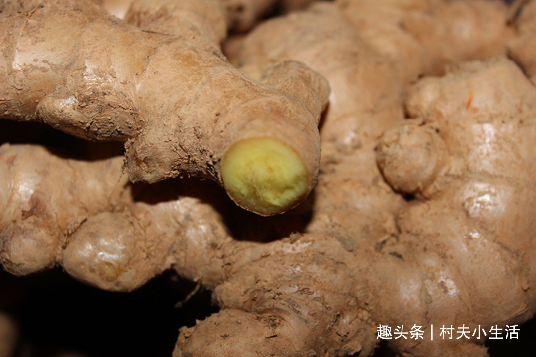 姜皮|生姜放进锅里蒸一蒸，原来好处这么多，高手在民间，长见识了