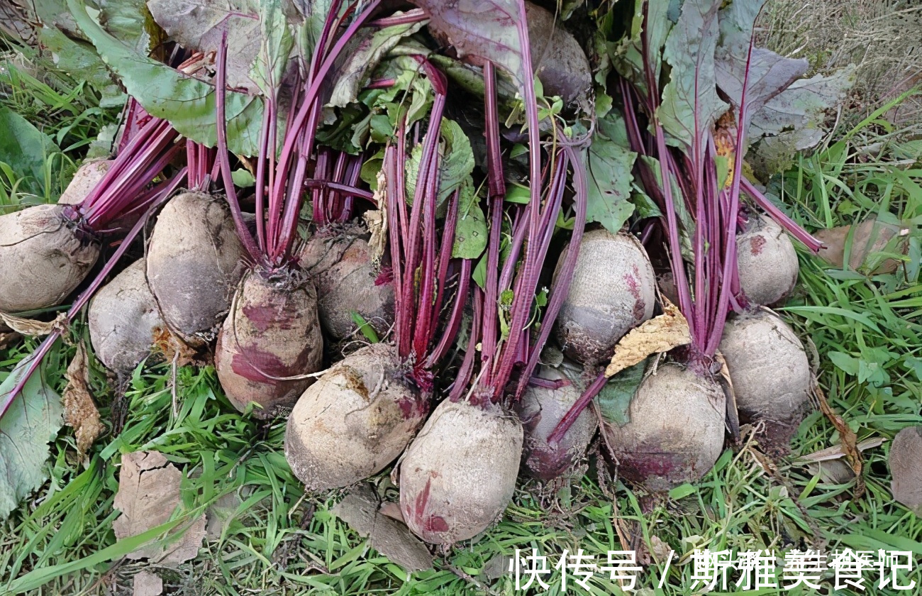 盐酸甜菜碱|中年人可以多吃3种食物,营养丰富,延缓衰老,好处多多!