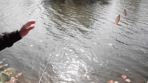 地方|为什么说夏天的钓位很好找因为就这2个地方,找不到的都是小白