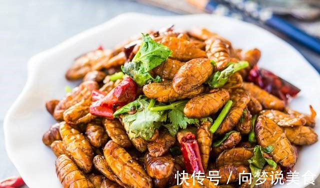 蛋白质|小时候吃知了猴,看中的是美味,现在吃知了猴,提高身体免疫力