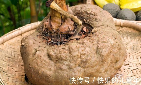 雌激素|别看它长得丑,却是天然“雌激素”,30岁后女人要多吃,延缓衰老