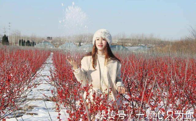 宝莲灯|8种价格昂贵的花卉,一盆好几百,有钱了一定要买一盆来养