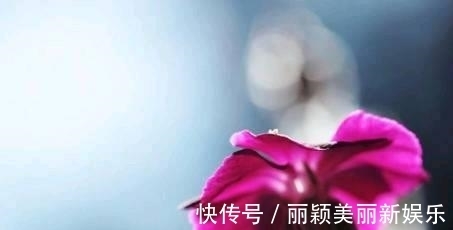 妻子|婚后不顾家的3个生肖男，从不懂心疼妻子，谁嫁都不幸福