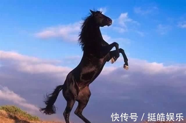 良骥#上联“好马不吃回头草”,下半句更为经典,道尽了人性