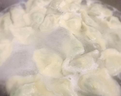 韭菜鸡蛋馅|你吃过的最好吃的饺子是什么馅的你是怎么煮饺子的