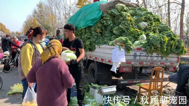 大白菜|原来保存白菜一点也不难，不烂不干瘪，轻松放半年，冬天随吃随取