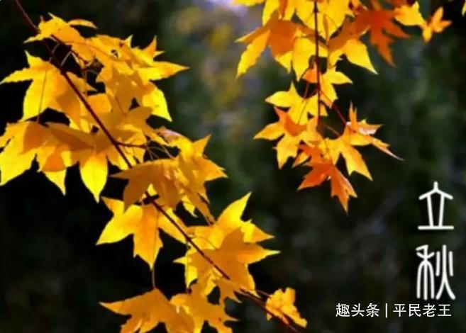 农历|“早立秋冷嗖嗖,晚立秋热死牛”准吗2021年立秋是早是晚