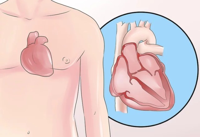 大蒜素|糖尿病人常吃大蒜，会有哪些“功效”不懂来看答案