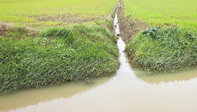 简单|垂钓泥鳅另有一番乐趣,小伙伴们又去钓泥鳅了,垂钓技巧简单易学