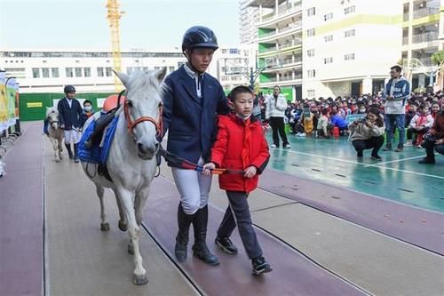 小小骑士进校园，水果湖一小举行马术公开课