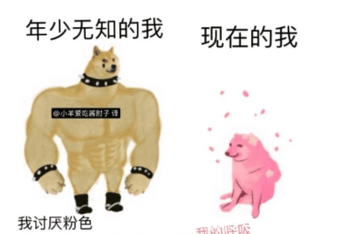 论文|许多大学生都会在论文里感谢导师，毕竟如果不是导师，我的毕业论文早就写好了。