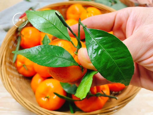 砂糖|吃橘子时，到底是“上火”还是“降火”？如果不懂，那就尴尬了