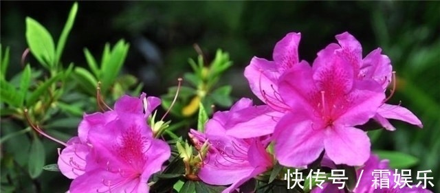 唐朝@唐诗寒食六首:四海同寒食,千秋为一人,谈谈寒食节的来历