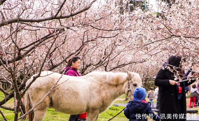 美炸！误入现实版的“桃花源”，这才是早春的正确打开方式