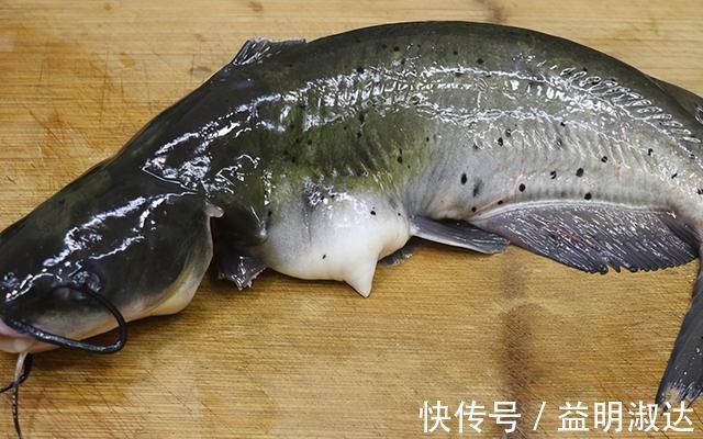 1条钳鱼，加1块豆腐，天冷了就这样吃，嫩滑鲜美，营养又暖和