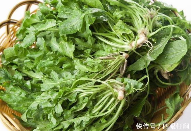备受冷落的农村野草,古代却是治病良药,老人经常服用延年益寿