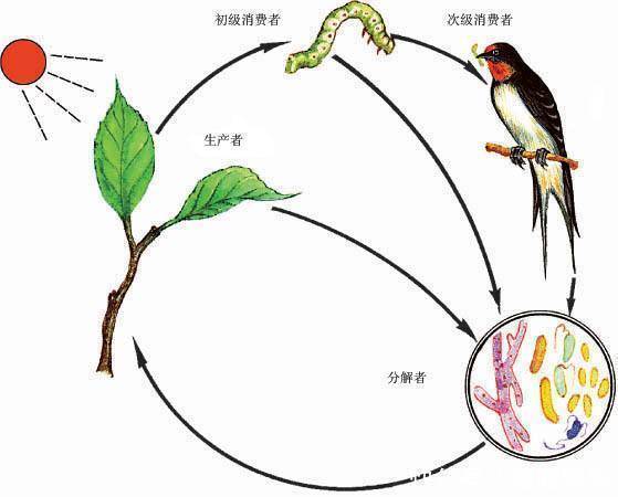 为什么水放在地球上几十亿年没有变质,放在瓶子里很快就变质