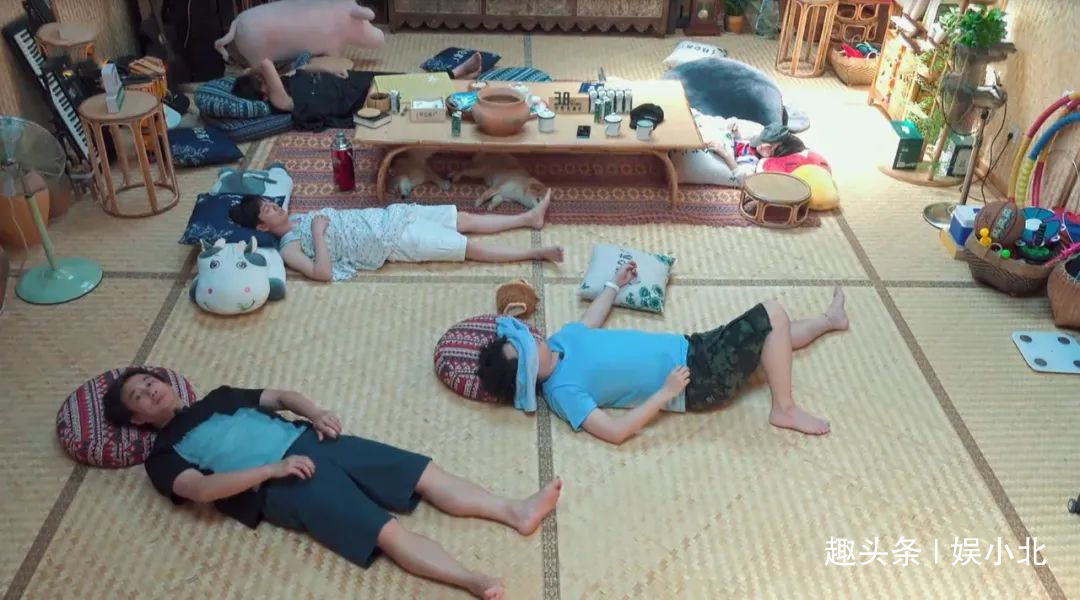 蘑菇|嘉宾重复请、广告太频繁、农活总干不完，被《向往4》劝退