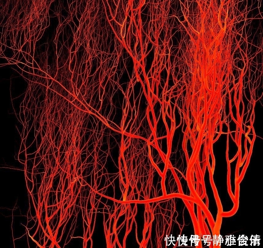 走路是天然的“长寿药”,医生避开两个时间点,很多人都走错