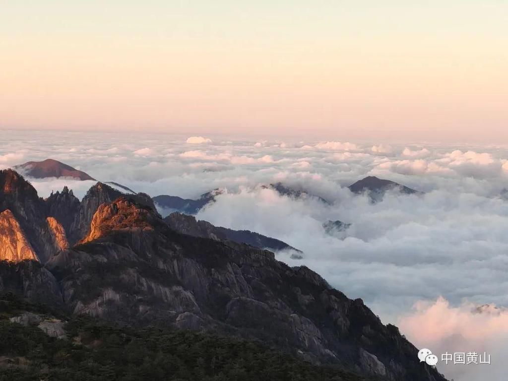 壮观绝美！黄山再现“海”上日出！