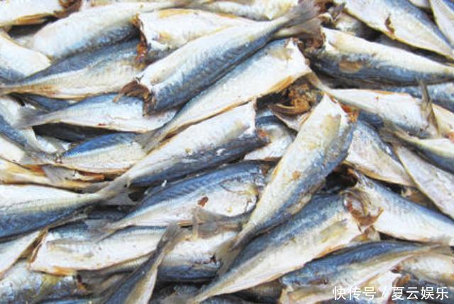 5种海鲜晒成干比新鲜的更美味，放一年都不会坏，炖汤做菜都香