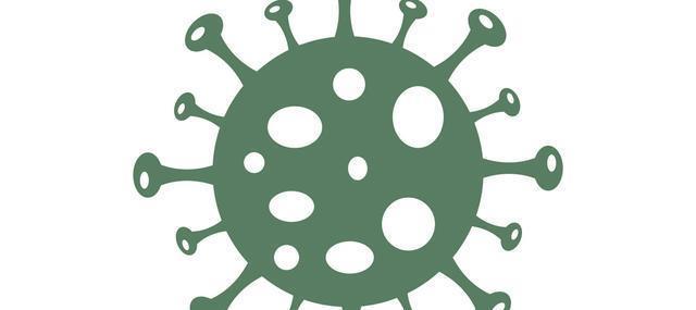 艾叶煮水|北京一女子，经常用艾叶煮水洗头，5个月后，身体有什么变化吗？