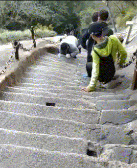 |搞笑GIF段子:单身了几十年,今天无论如何也要抢到!