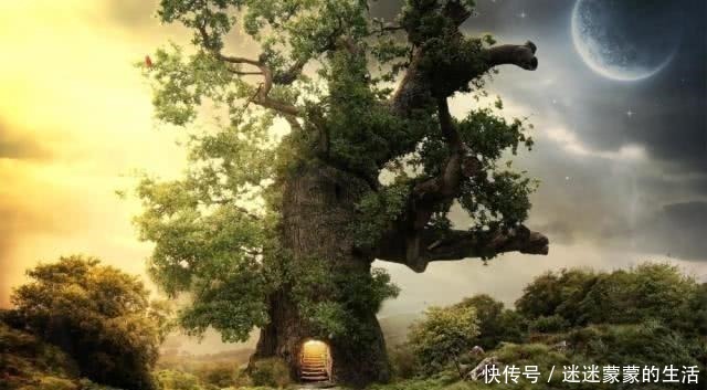 宠物小精灵|五本让您忍不住彻夜通宵的网络小说，书荒从此告别您！