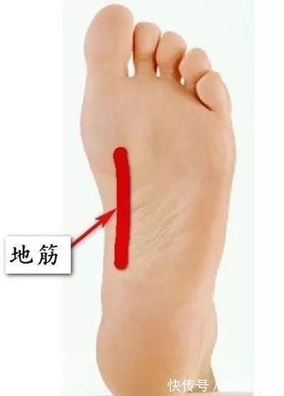 中渎穴|调理手颤、手麻、脚麻、面部神经麻痹,它们是立竿见影的必调穴