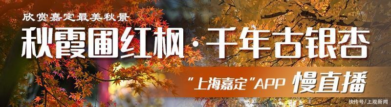 学生带来|嘉定孩子的创意，让“奇思妙想”走进现实