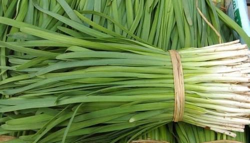 冬天|爱吃韭菜的人,身体不会差,但冬天吃韭菜有2大禁忌,你需要了解