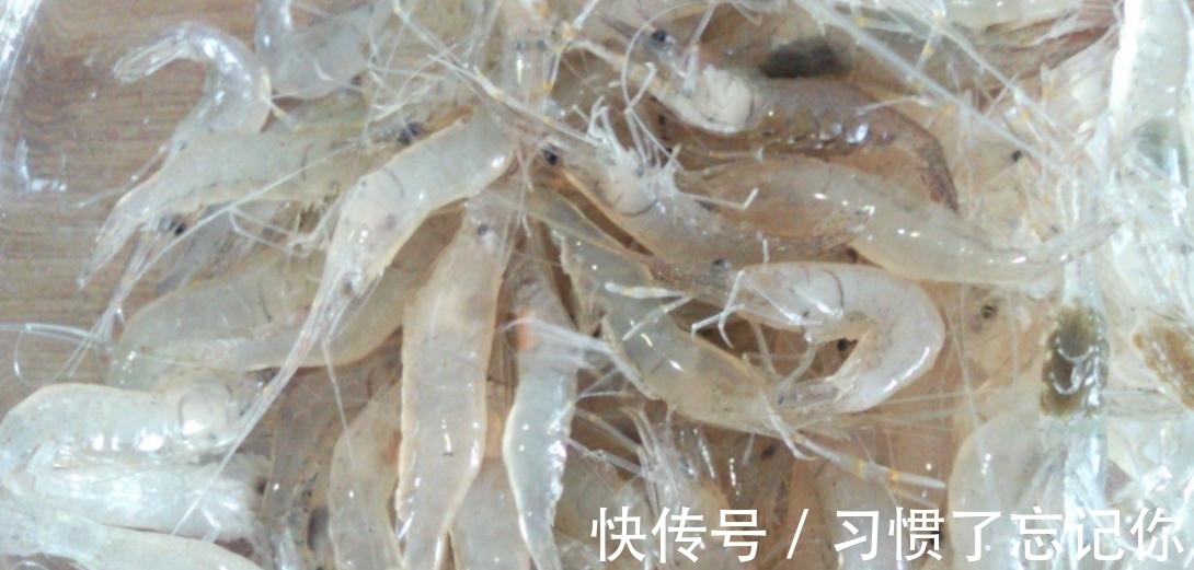 肉夹馍|加腥就能钓冬鱼?想简单了,下面3种方法才是正确的“加腥”方式