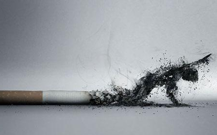 喝酒|肝细胞“修复器”终于找到了，不是萝卜，若爱吃，肝会感谢你