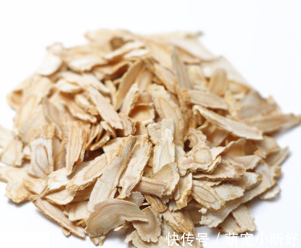 补气养血|当归炖鸡,你做对了吗?汤鲜肉烂,香气四溢,补气养血滋润容颜