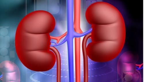 脚后跟|肾衰“脚”先知!医生警告:脚上3个表现别不当回事,或是肾病了