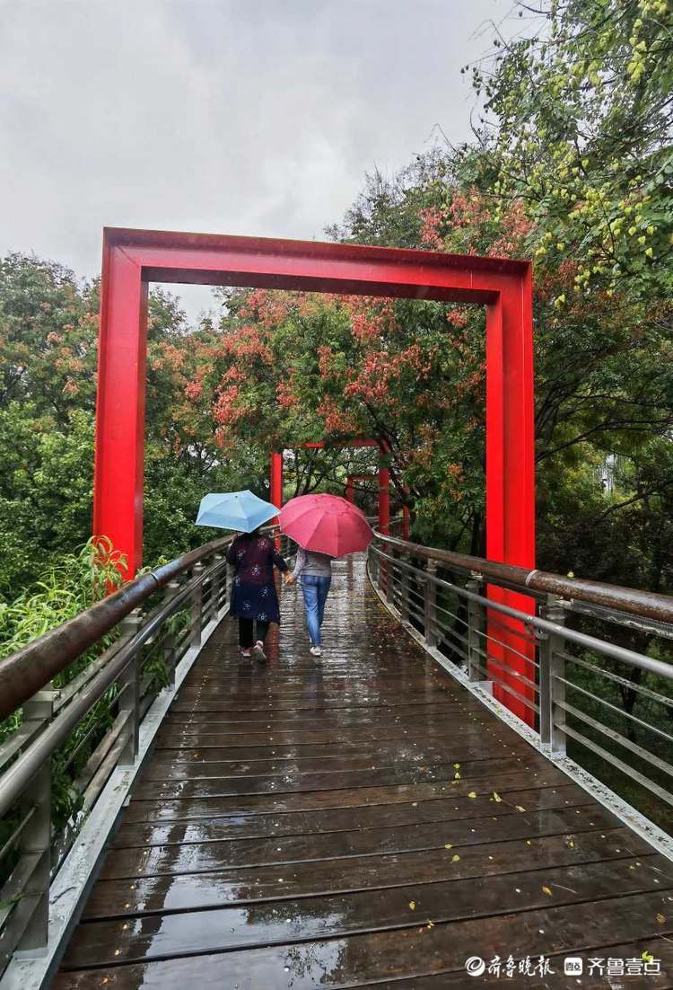 小雨淅沥不停，济南泉城公园美如丹青！雨中漫步悠闲舒适|情报站| 小雨