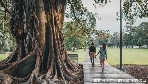 一首极美的诗词总有那么一处,让人对其一见倾心,念念不忘。
