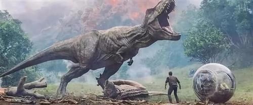 疫情|疫情期间的周末娱乐,留学菌带你逛逛野生动物园