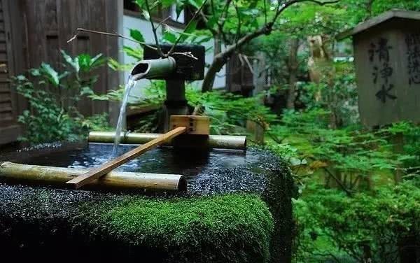 庭院|愿得一庭院,只用来喝茶